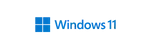 windows 11